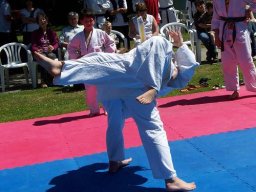 Bilder aus 2010 oder früher